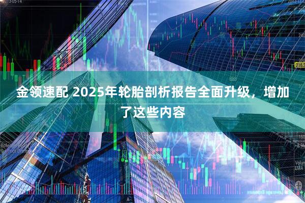金领速配 2025年轮胎剖析报告全面升级，增加了这些内容