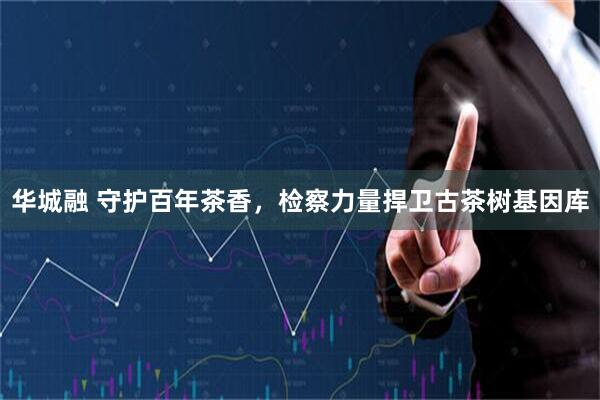 华城融 守护百年茶香，检察力量捍卫古茶树基因库