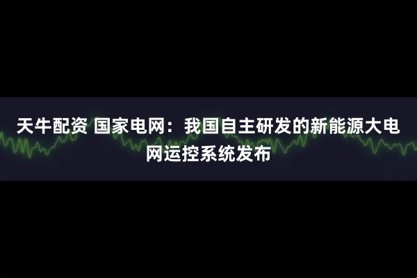 天牛配资 国家电网：我国自主研发的新能源大电网运控系统发布