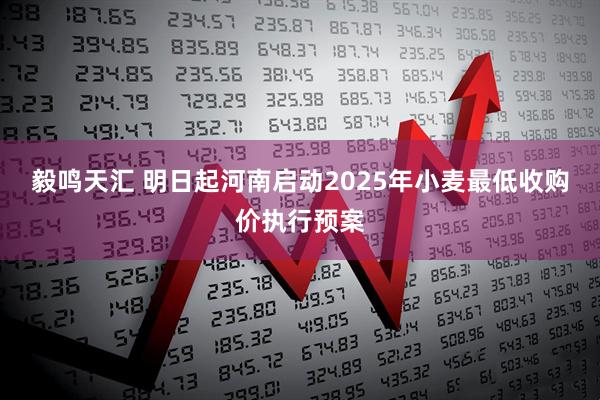 毅鸣天汇 明日起河南启动2025年小麦最低收购价执行预案