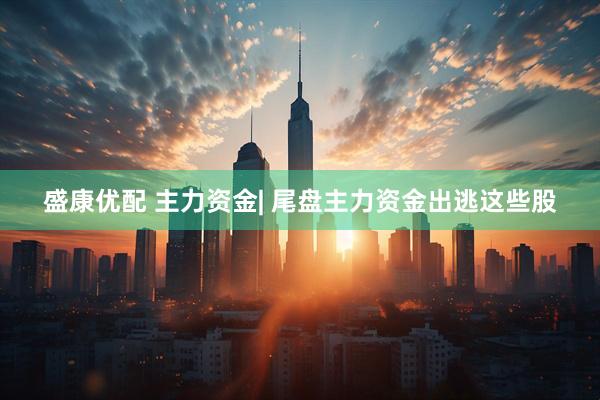 盛康优配 主力资金| 尾盘主力资金出逃这些股
